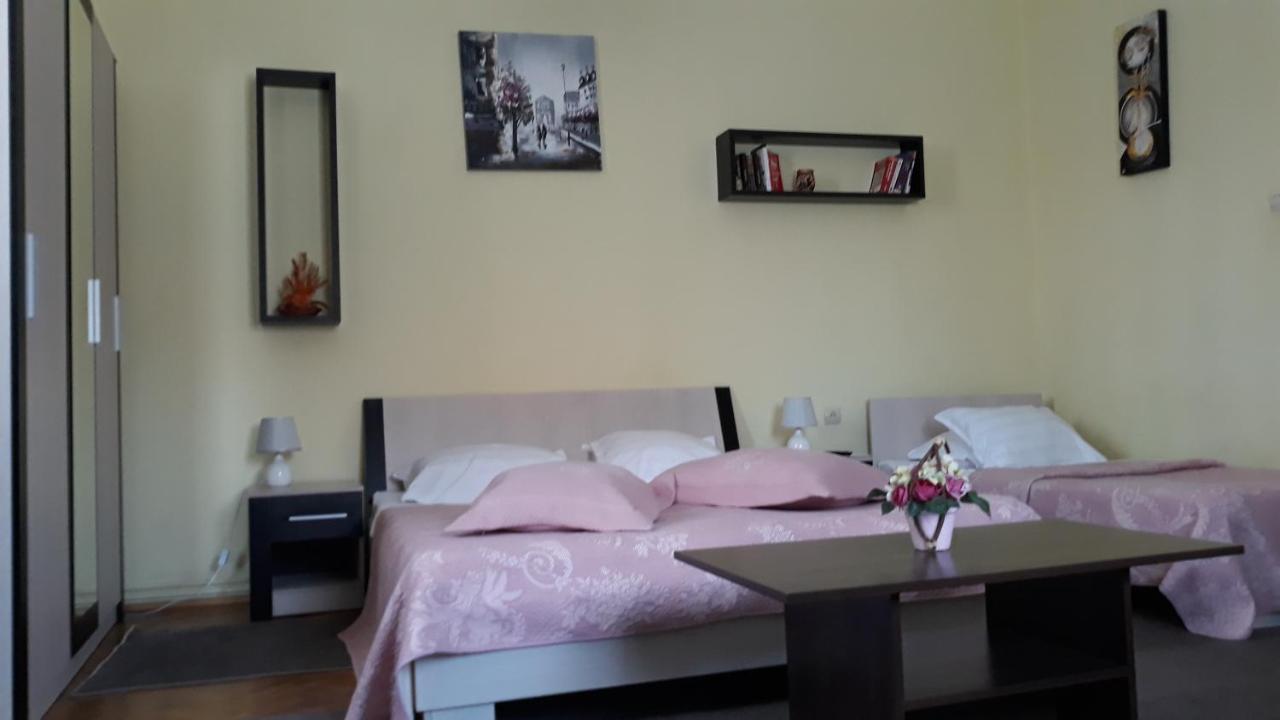 Villa Casa Ioana Braşov Rum bild