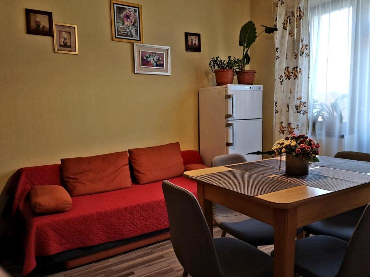 Villa Casa Ioana Braşov Rum bild