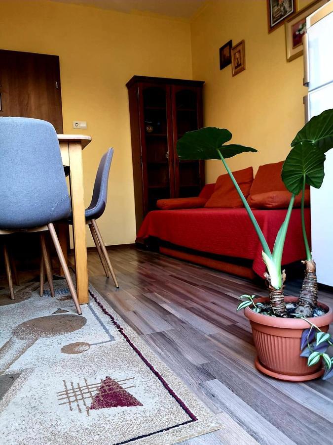 Villa Casa Ioana Braşov Rum bild