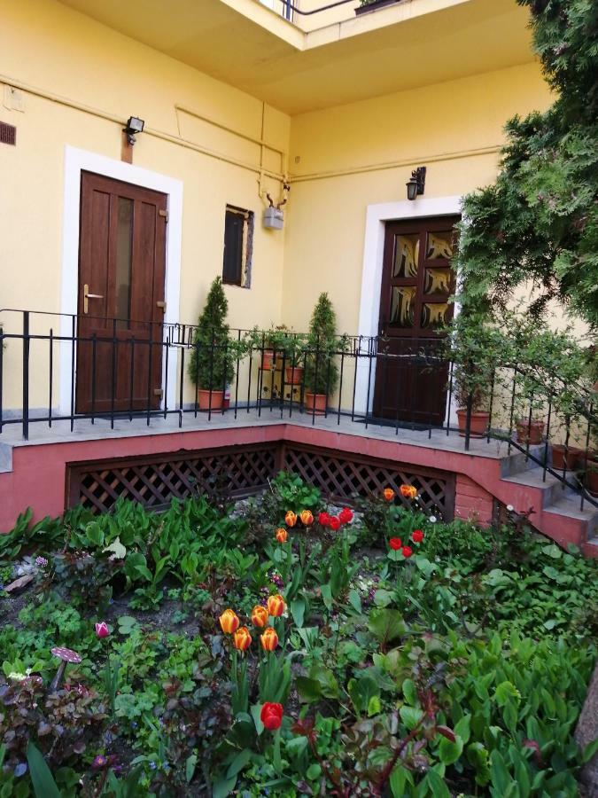 Villa Casa Ioana Braşov Exteriör bild